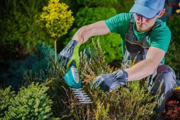 landscaping services Mantachie